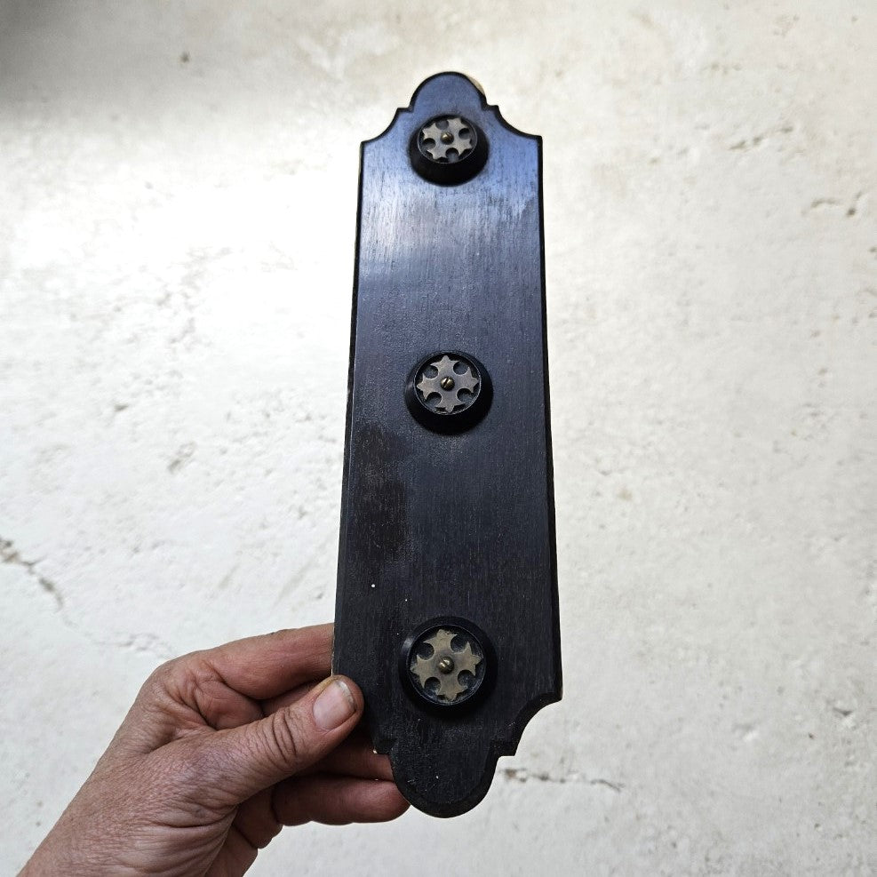 19thC Ebony Push Plates