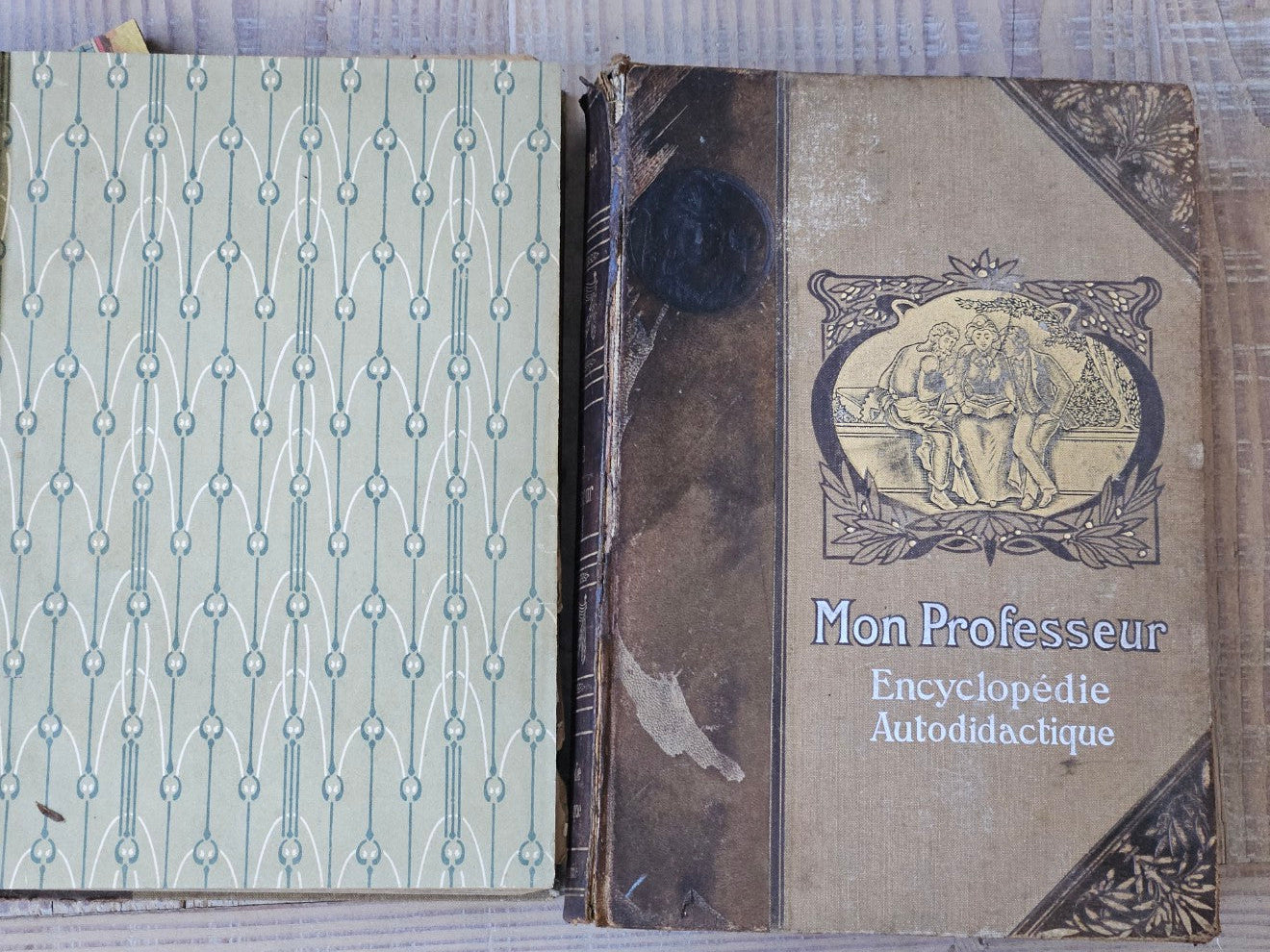 French Antique Leather Bournd Books