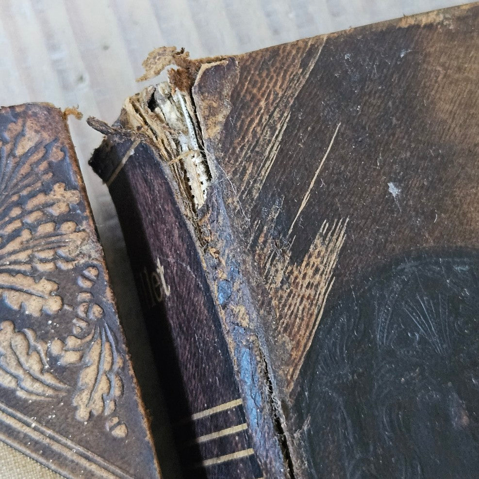 French Antique Leather Bound Books