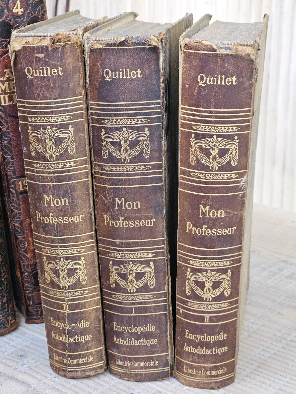 French Antique Leather Bound Books