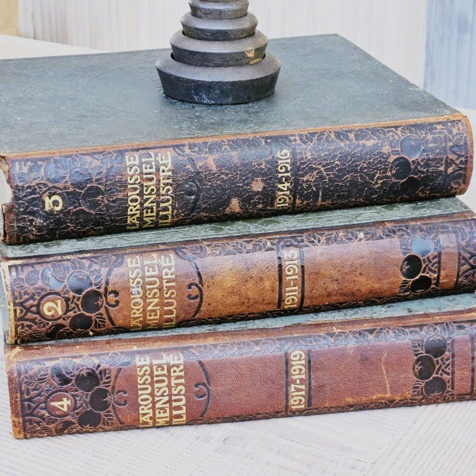 French Antique Leather Bound Books