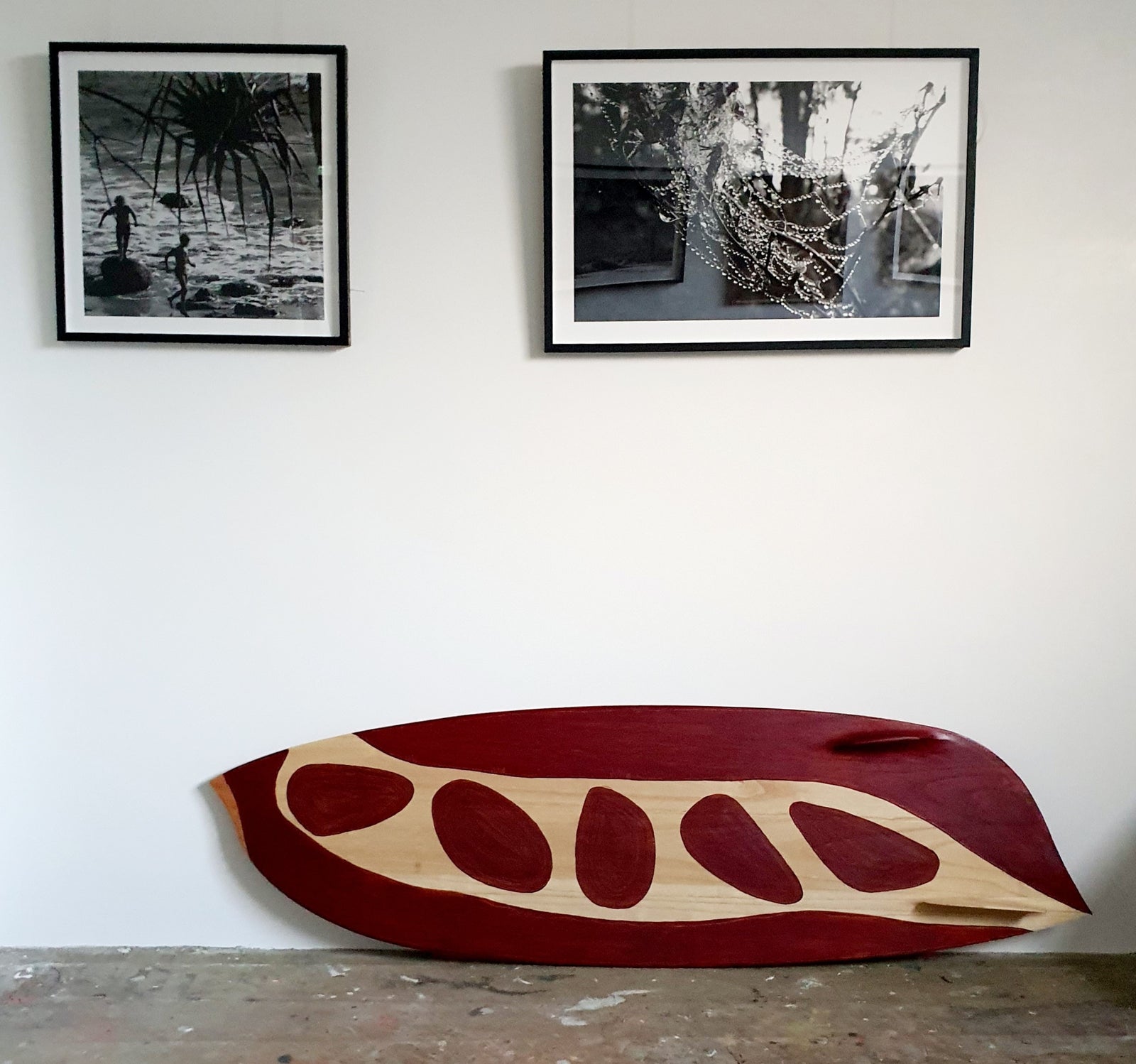 Paulownia Series