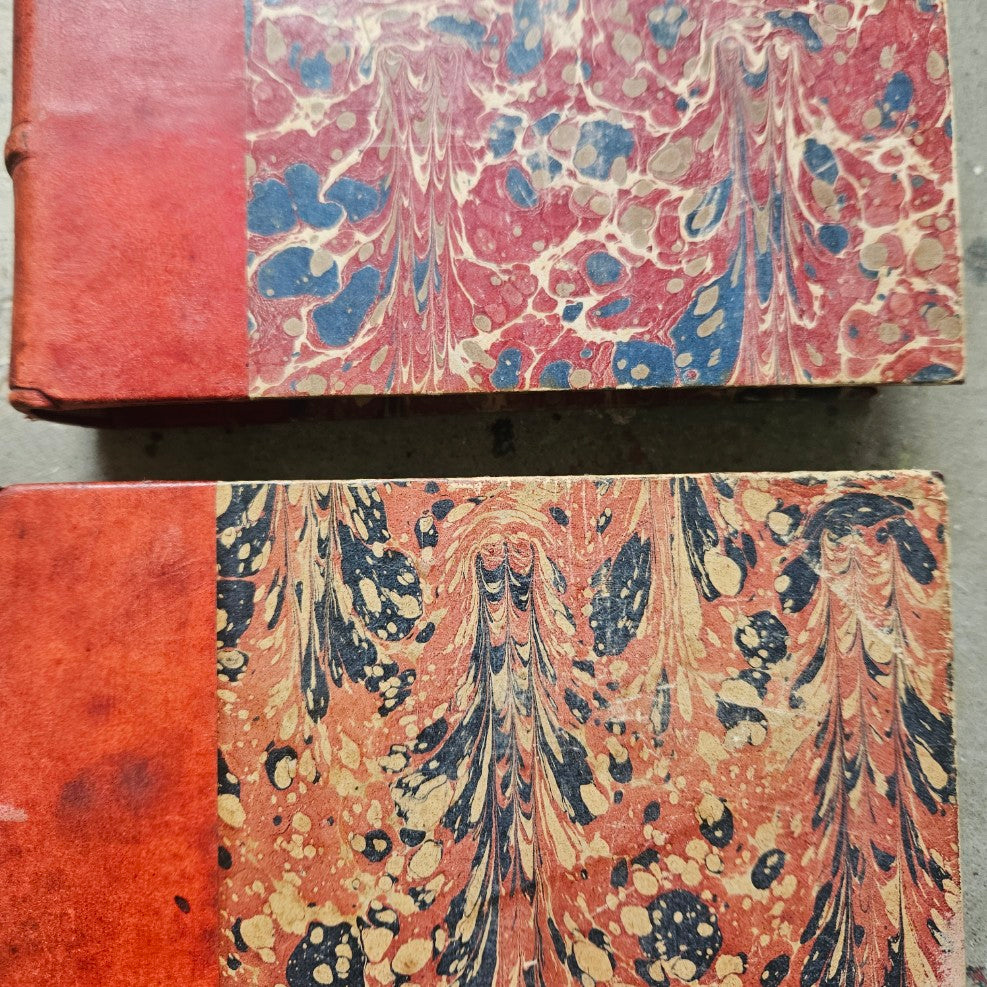 French Antique Leather Bound Books
