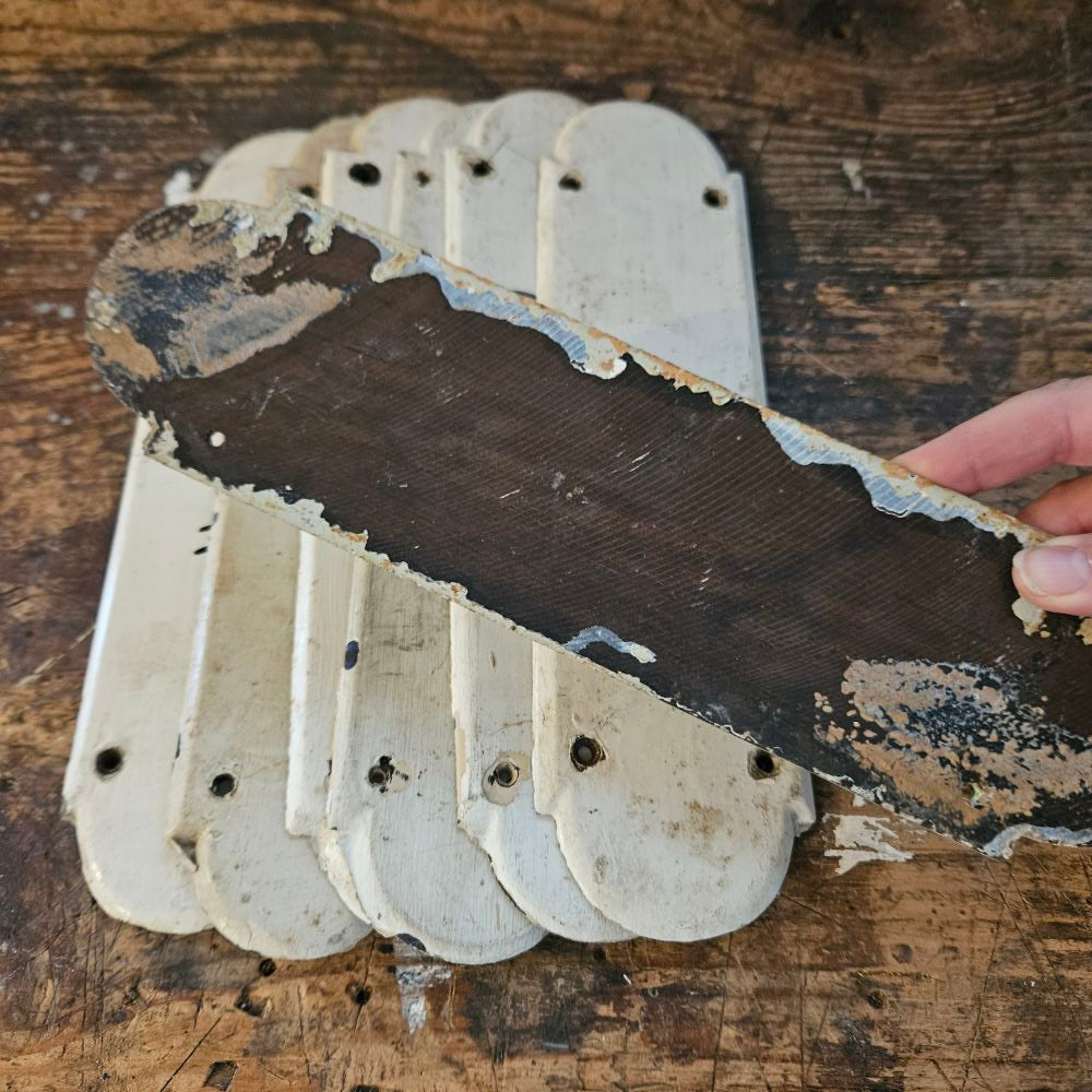 19thC Ebony Push Plates