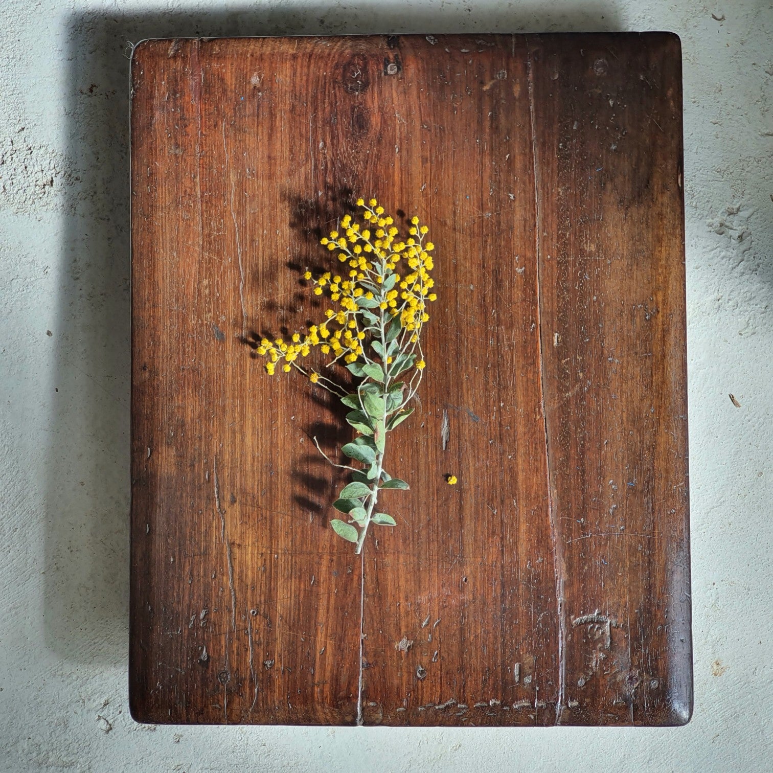 Chapatis/Breadboards