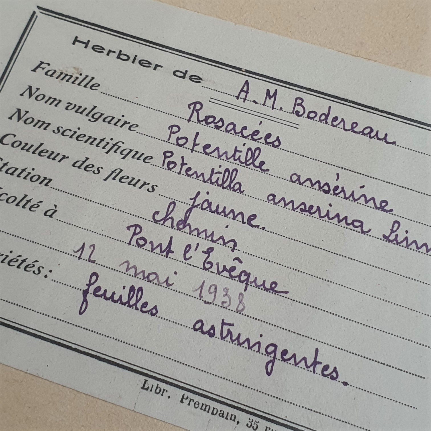 French Pressed Botanicals