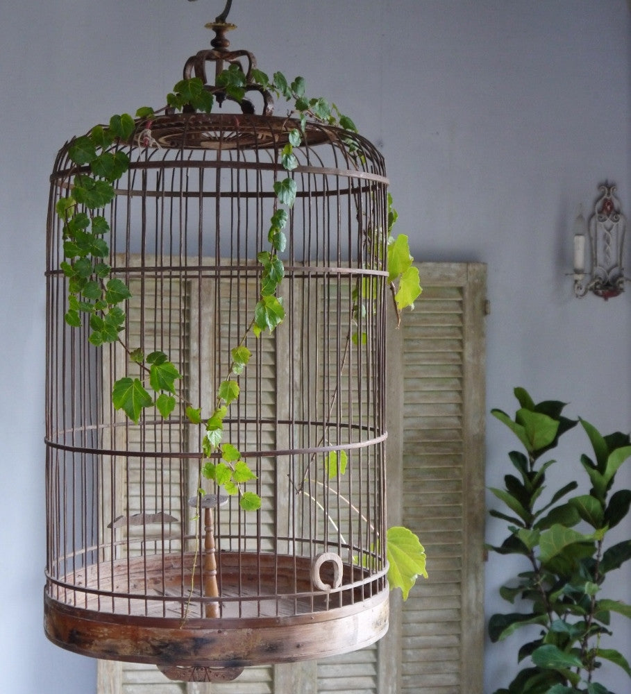 Vintage Bamboo Birdcage