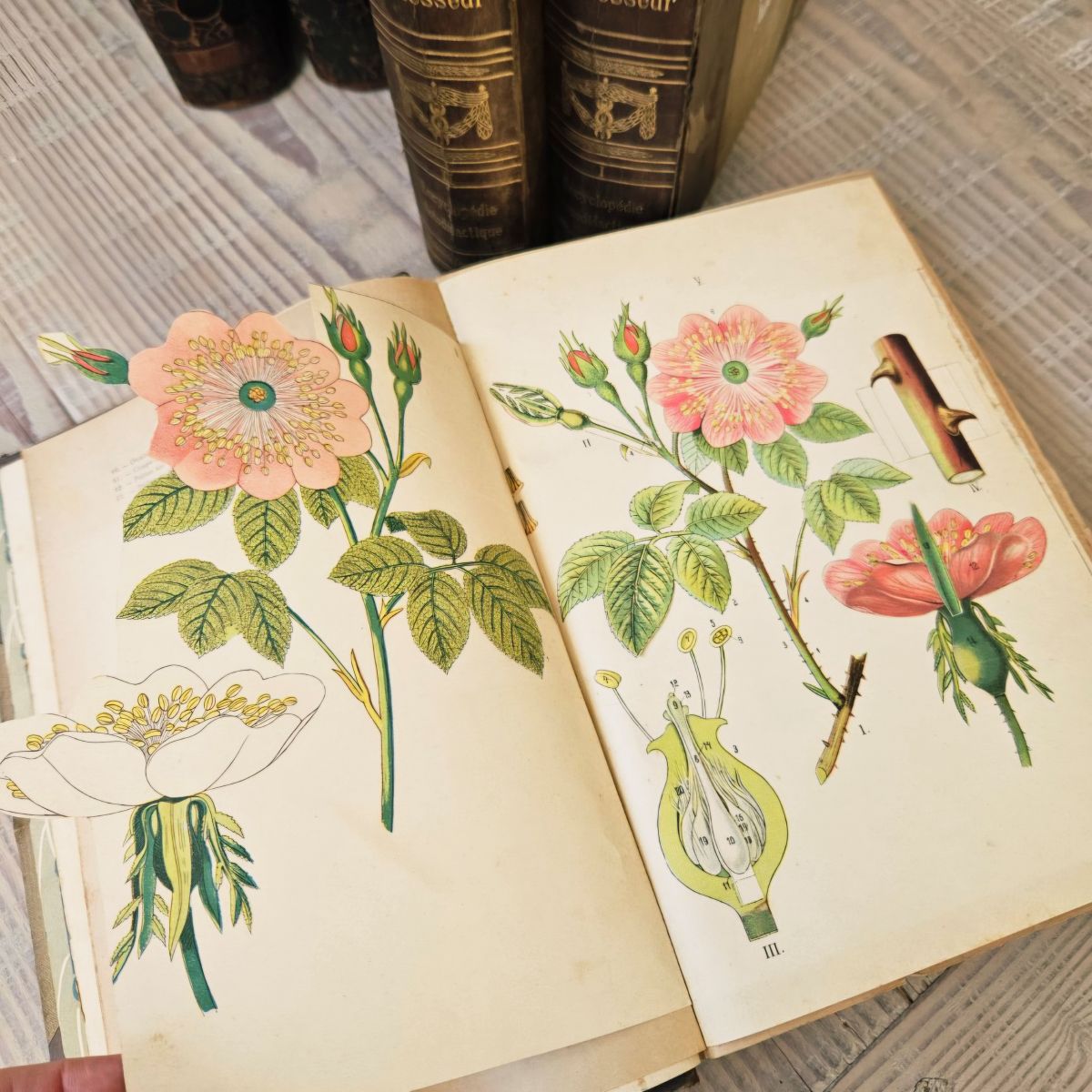 Vintage Book Love