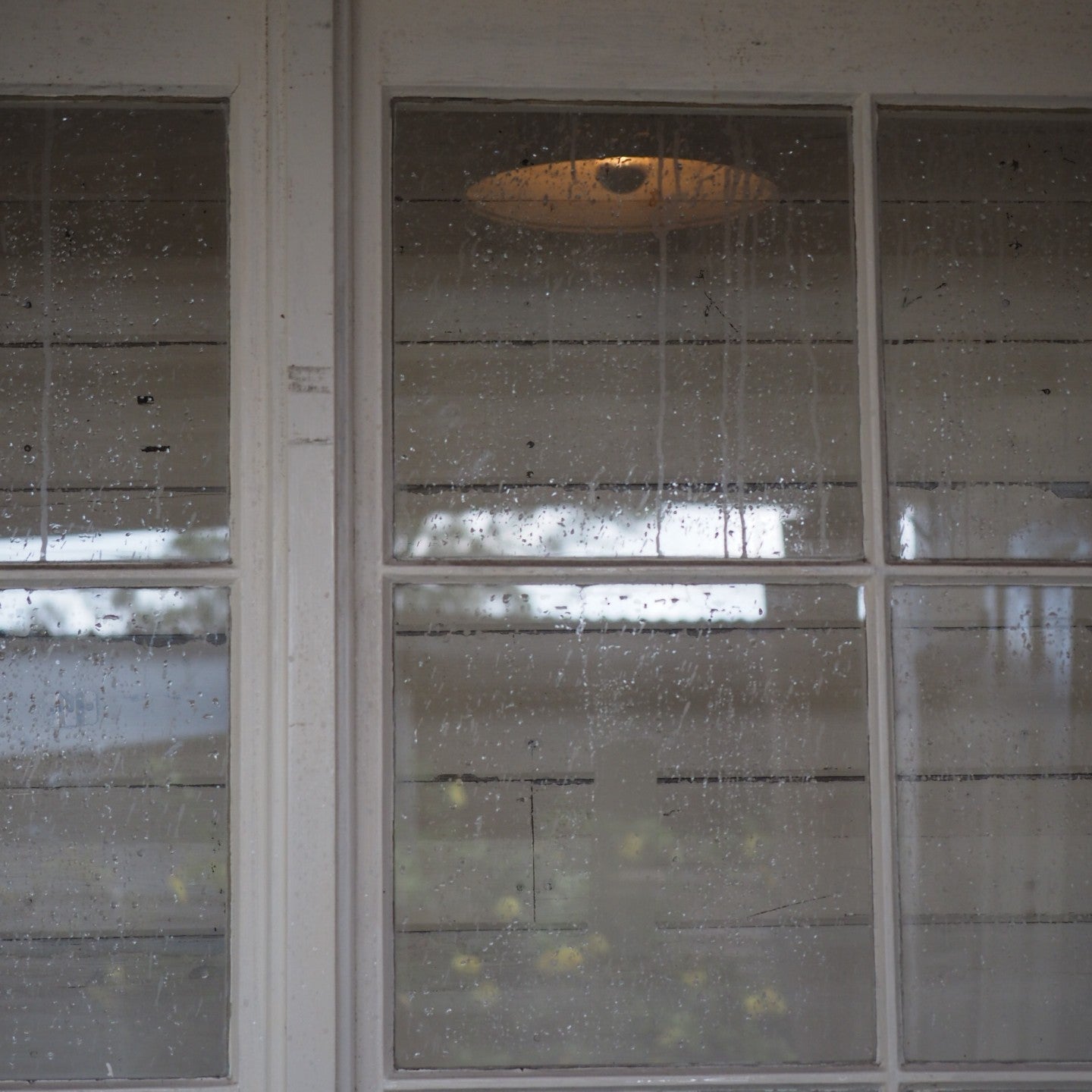 A Window to the World