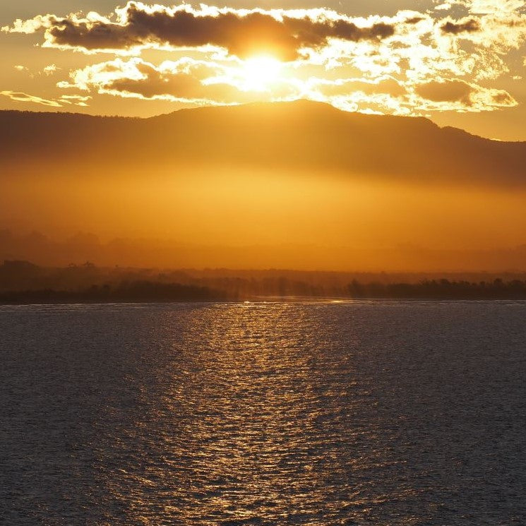 Art | Q & A with Tim Fry