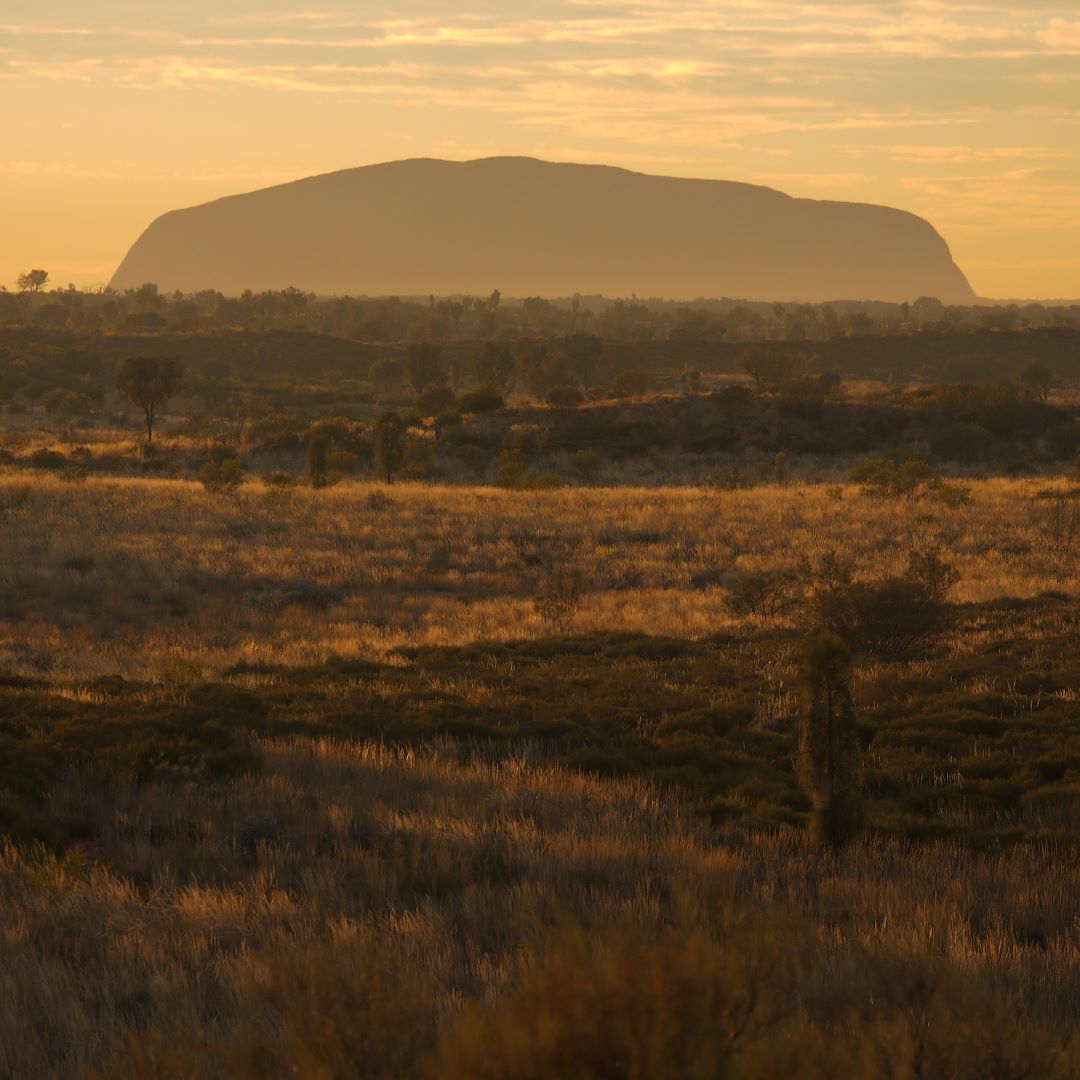 Travel | Uluru Revisited