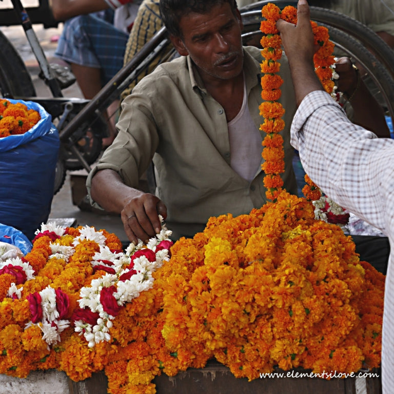 Travel | Markets of India