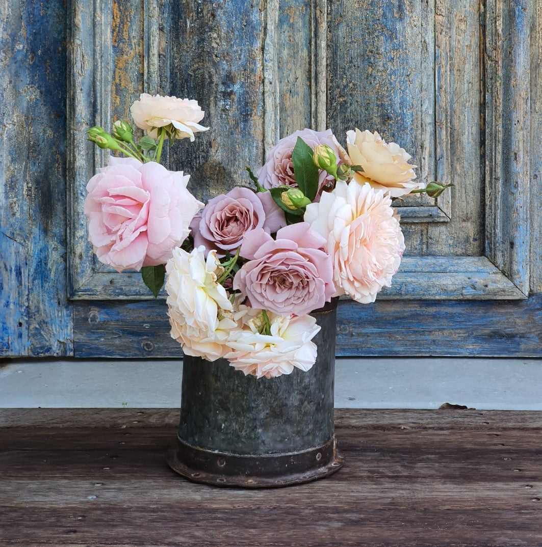 Still Life | Workshop