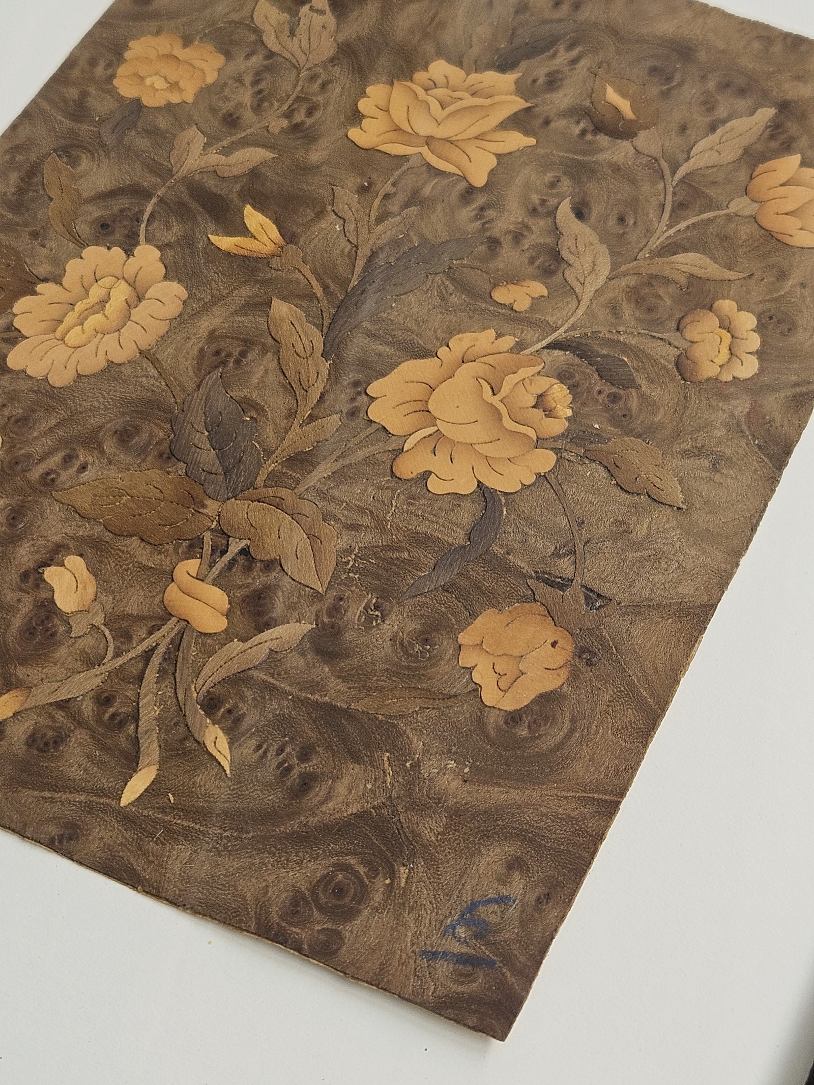 Framed French Marquetry