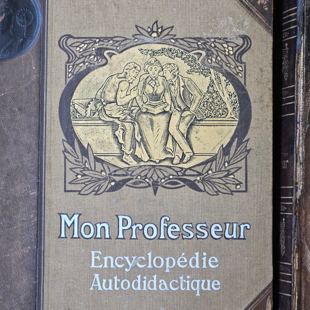 French Antique Leather Bournd Books