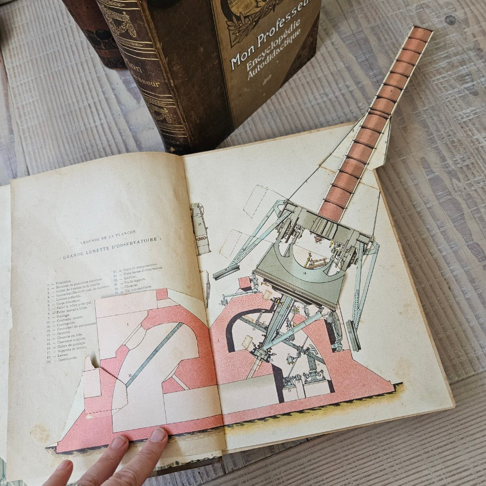 French Antique Leather Bournd Books