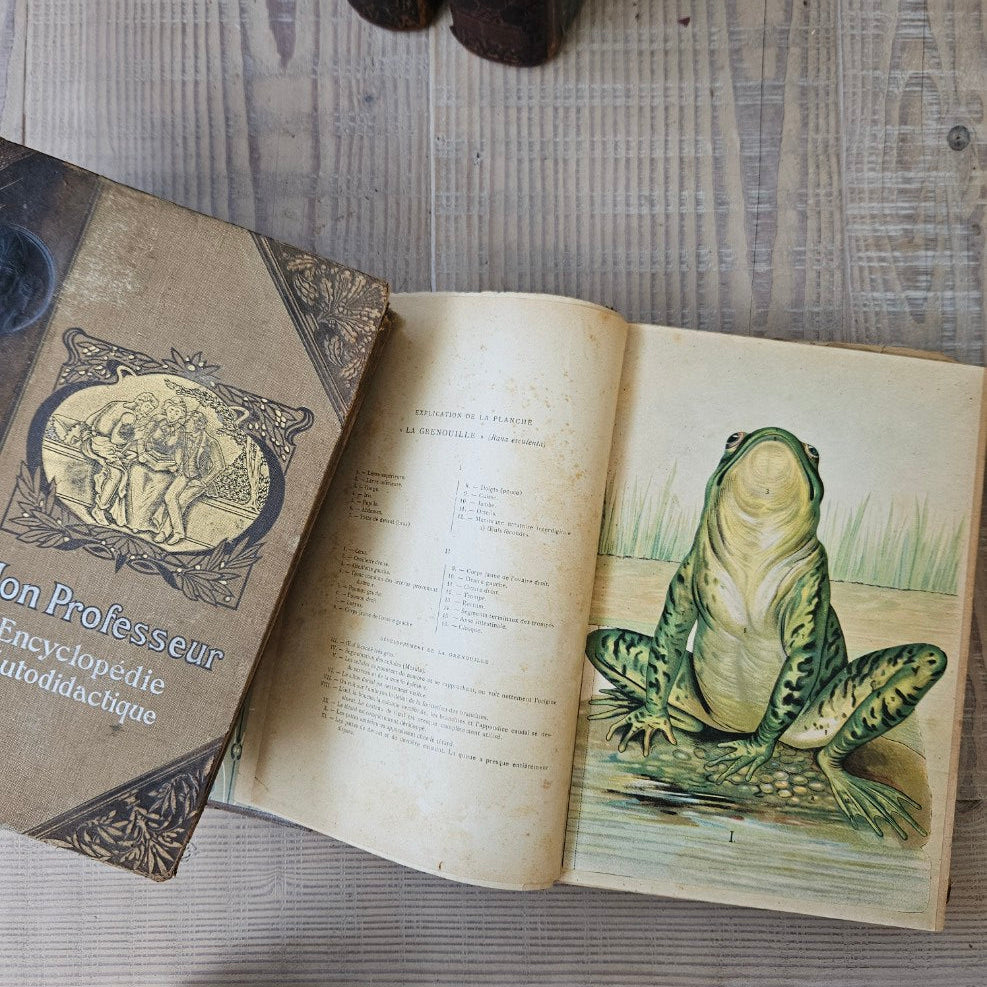 Open book with a detailed illustration of a fish on an old wooden surface