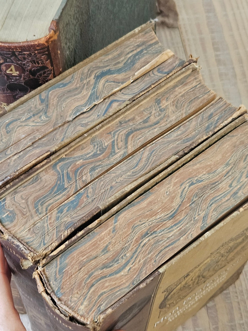 French Antique Leather Bournd Books