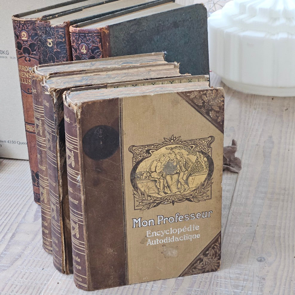 French Antique Leather Bournd Books
