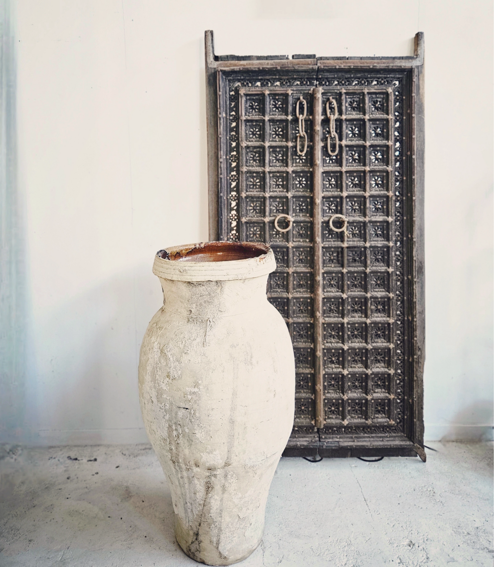 19thC Mirrored Indian Doors