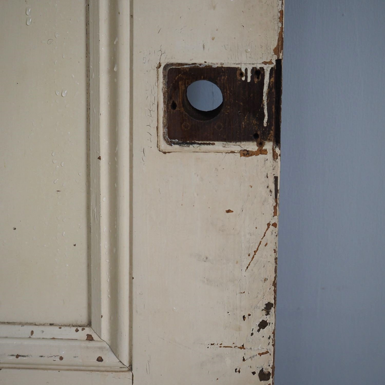 Victorian Front Door