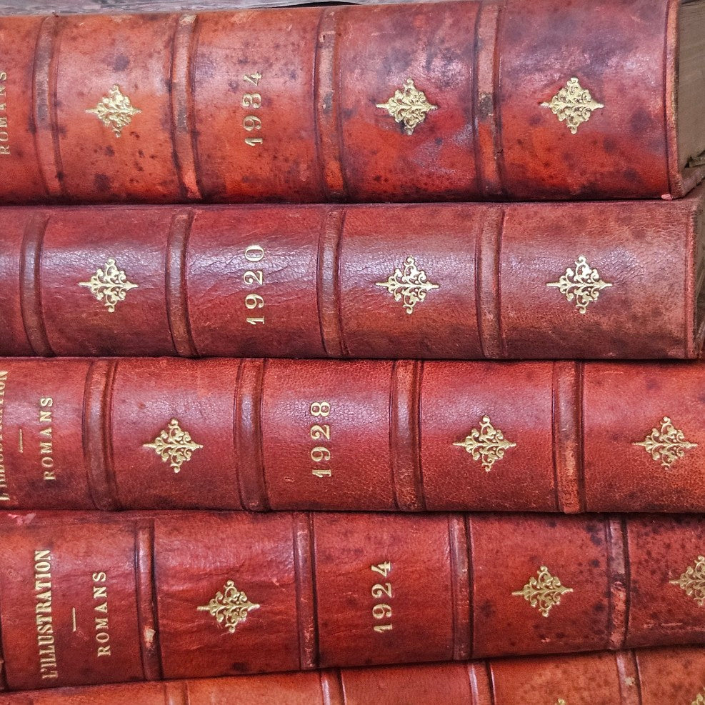 French Antique Leather Bournd Books