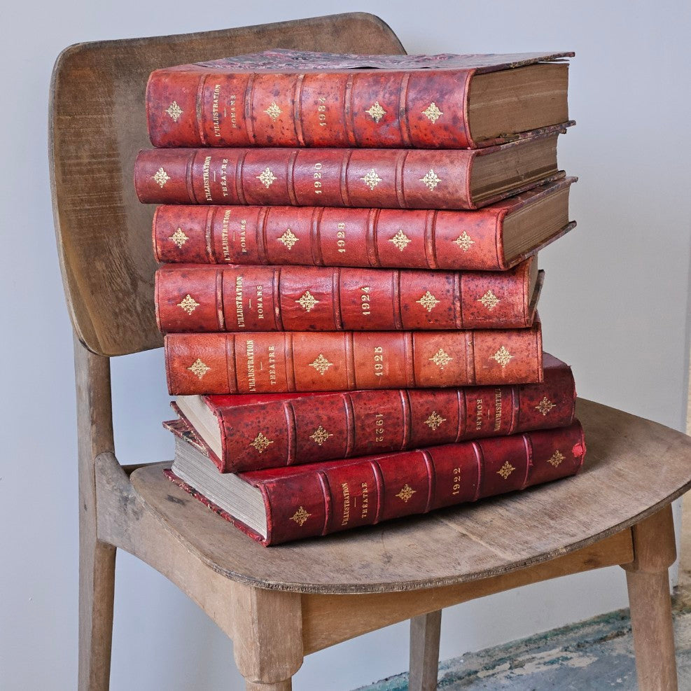 French Antique Leather Bournd Books