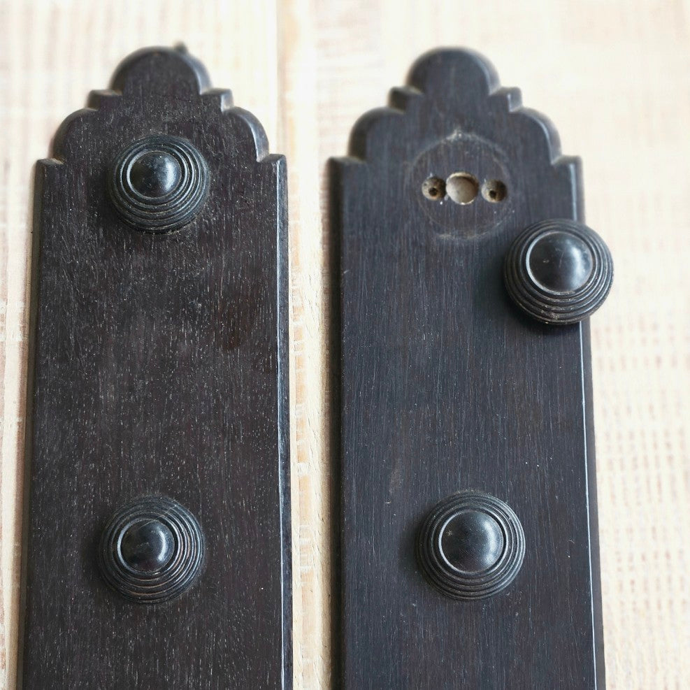 19thC Ebony Push Plates