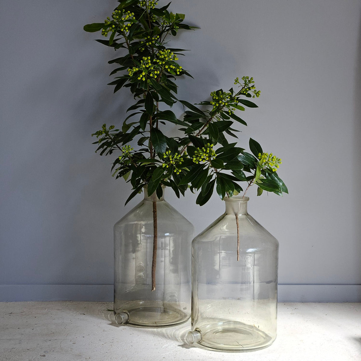Vintage Lab Bottles