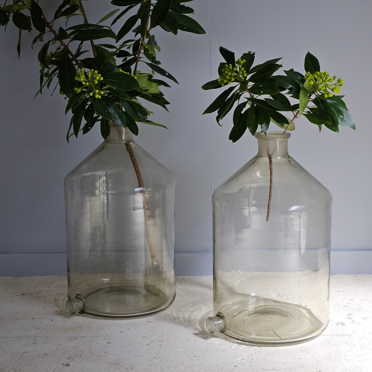 Vintage Lab Bottles