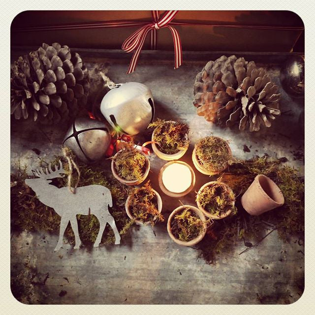 Teeny French Seedling Pots