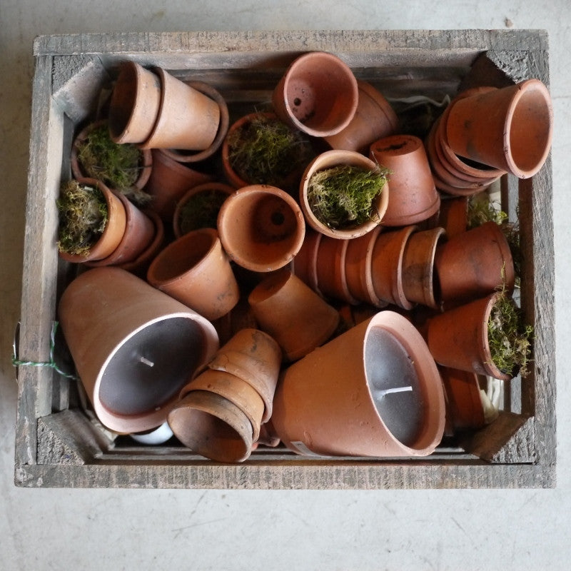 Petite French Pots