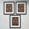 Framed French Marquetry