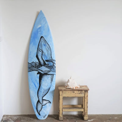 Surfboards | Elise Ottaway