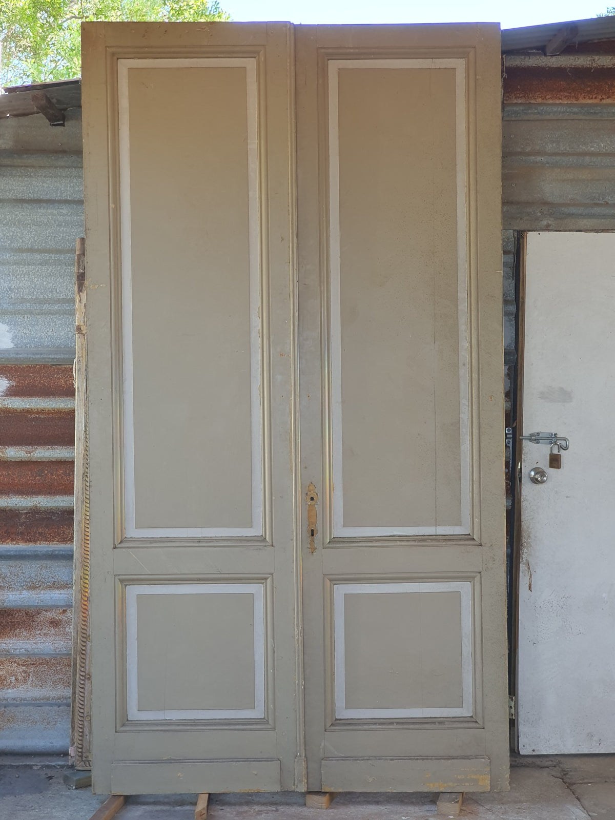 French Painted Salon Doors
