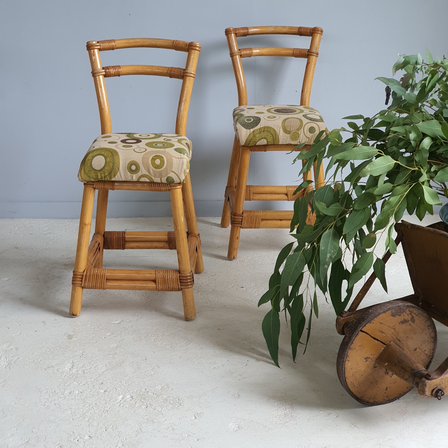 Retro Cane Chairs