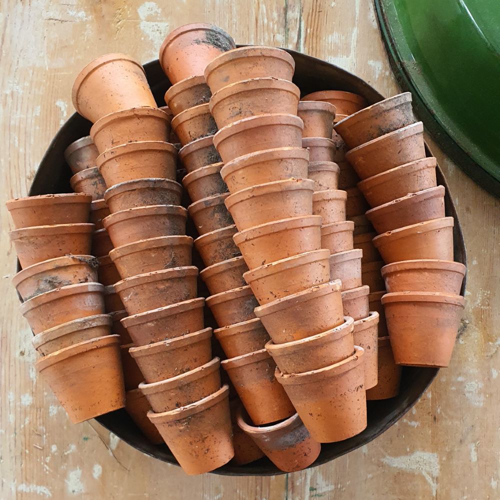 Teeny French Seedling Pots