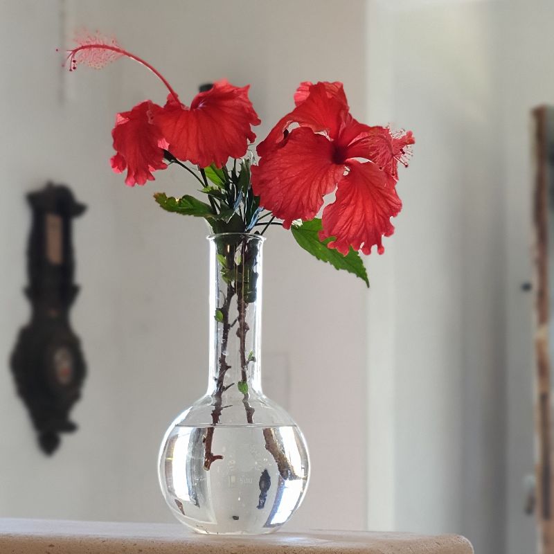 Apothecary-Florence Flasks