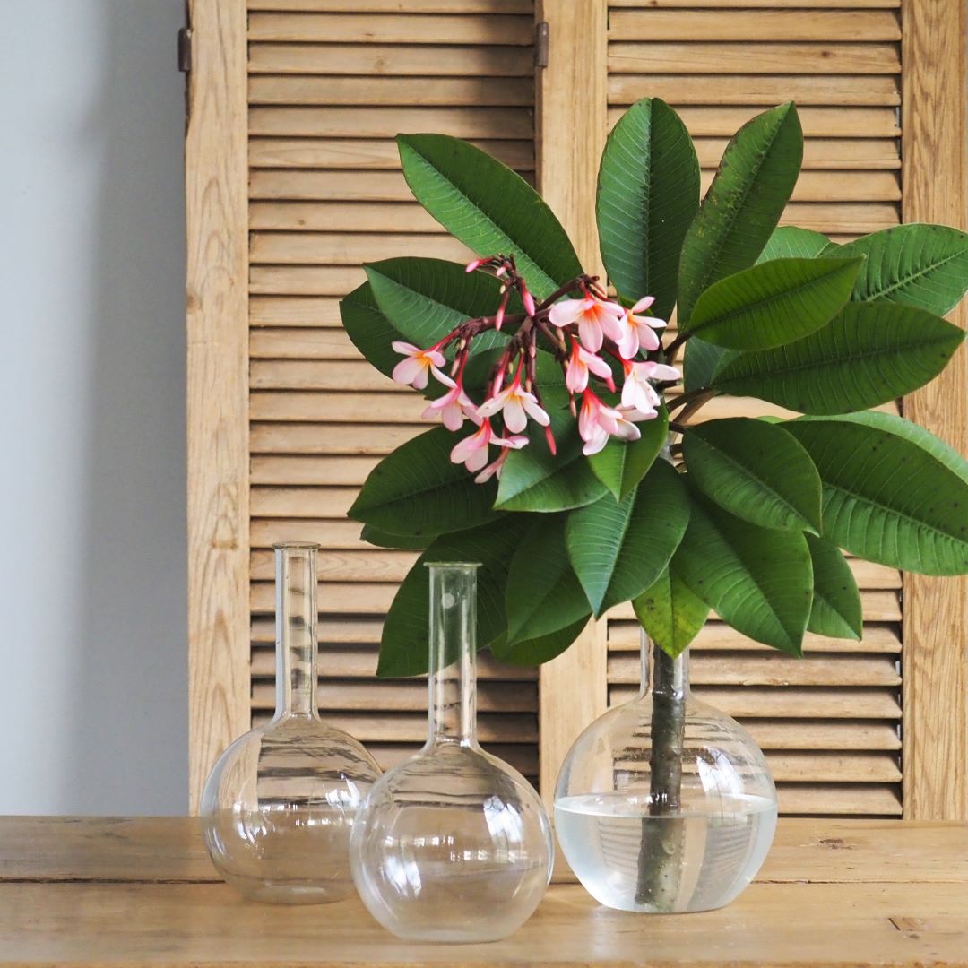 Apothecary-Florence Flasks