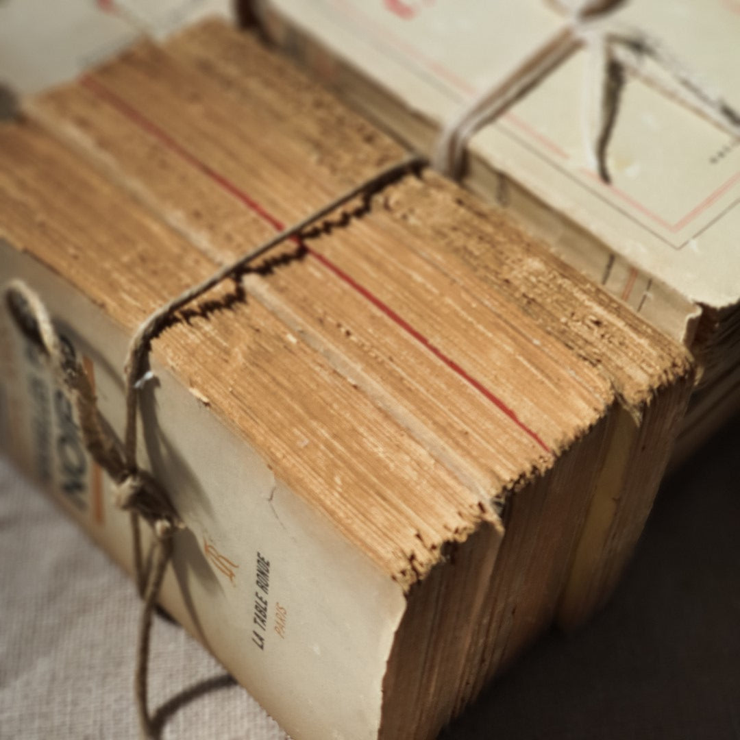 antique books, france, vintage, elements i love, byron bay