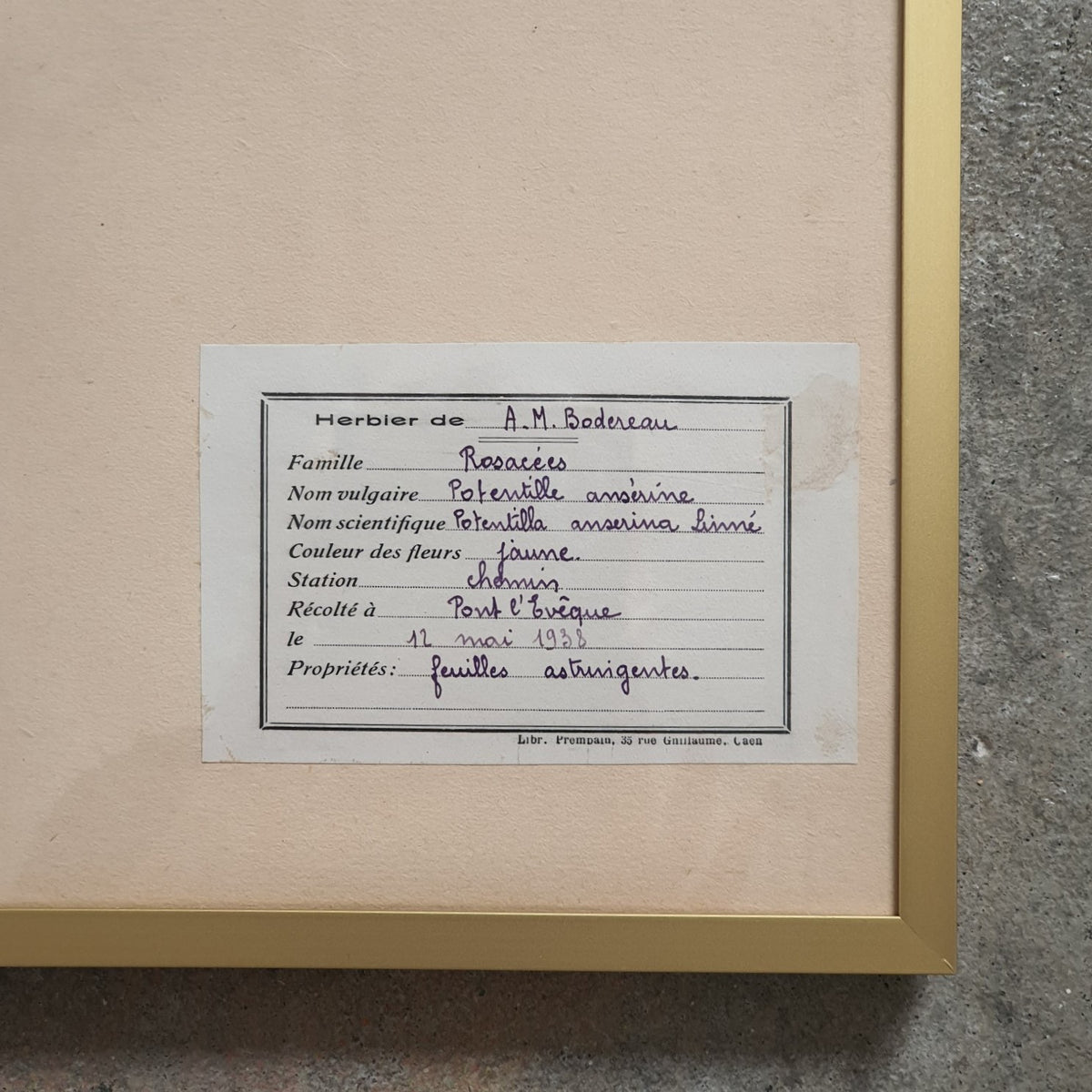 French Pressed Botanicals