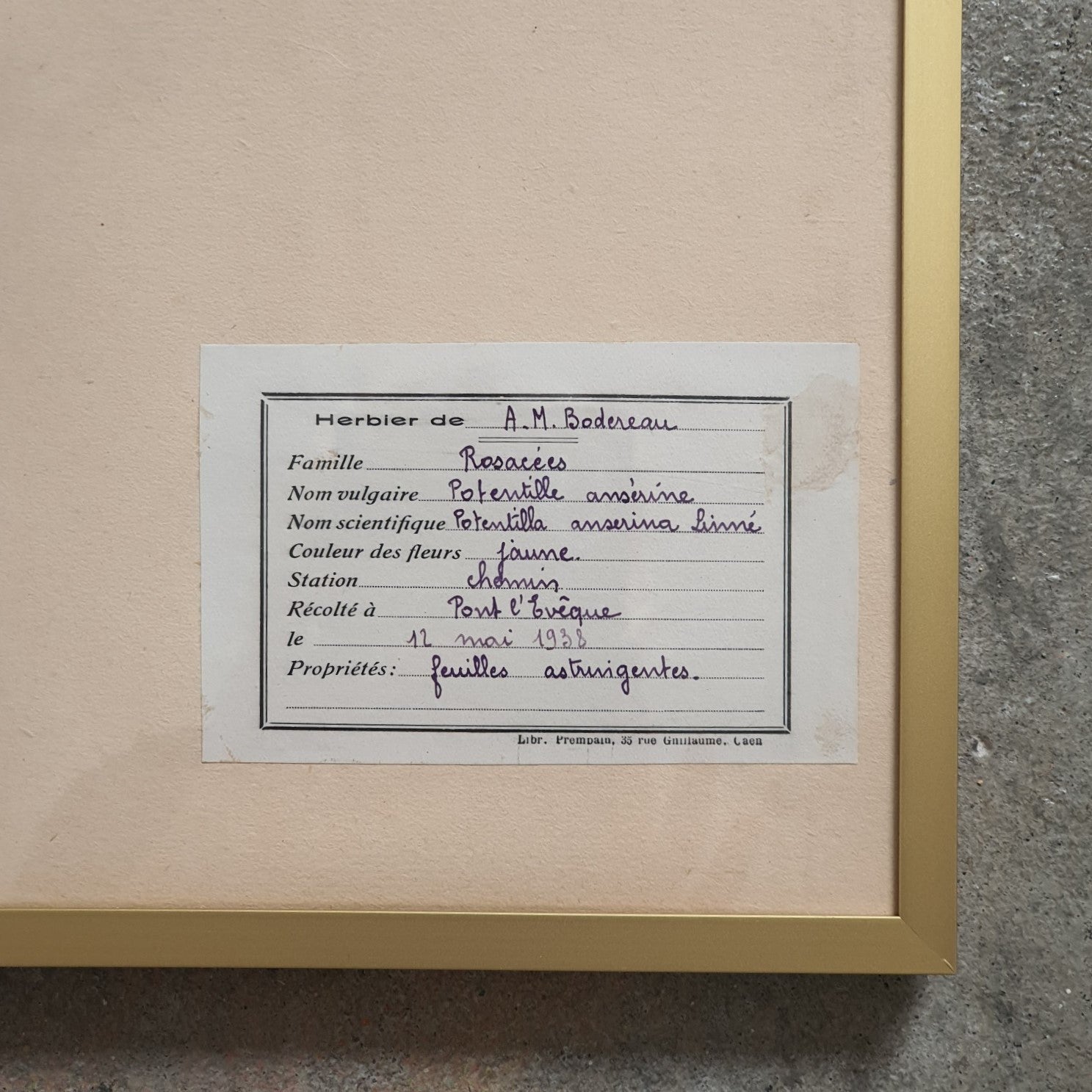 French Pressed Botanicals