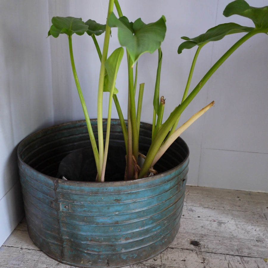 Vintage Metal Storage