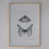 Magpie & Moth | Laura Baxter
