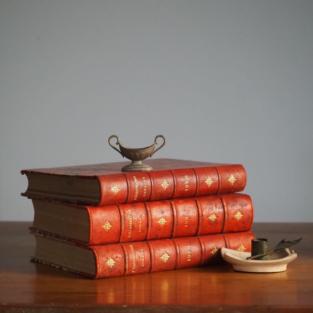 French Antique Leather Bournd Books