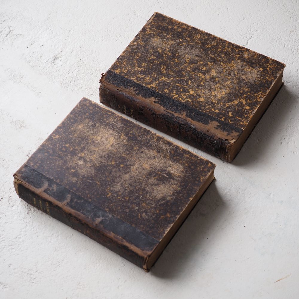 Antique French Books