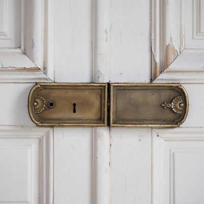 French Salon Doors