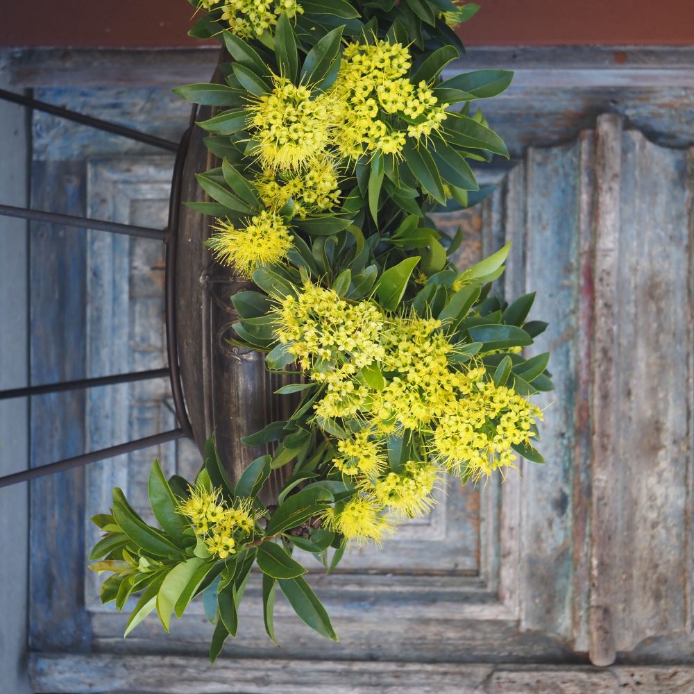 antique brass bowl, elements i love, garden decor, byron bay