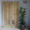 Set A- French Pine Shutters