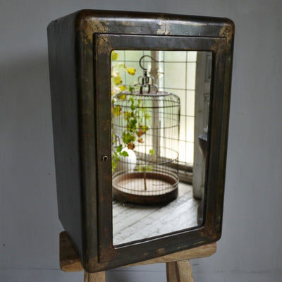Petite Iron Mirrored Cabinet